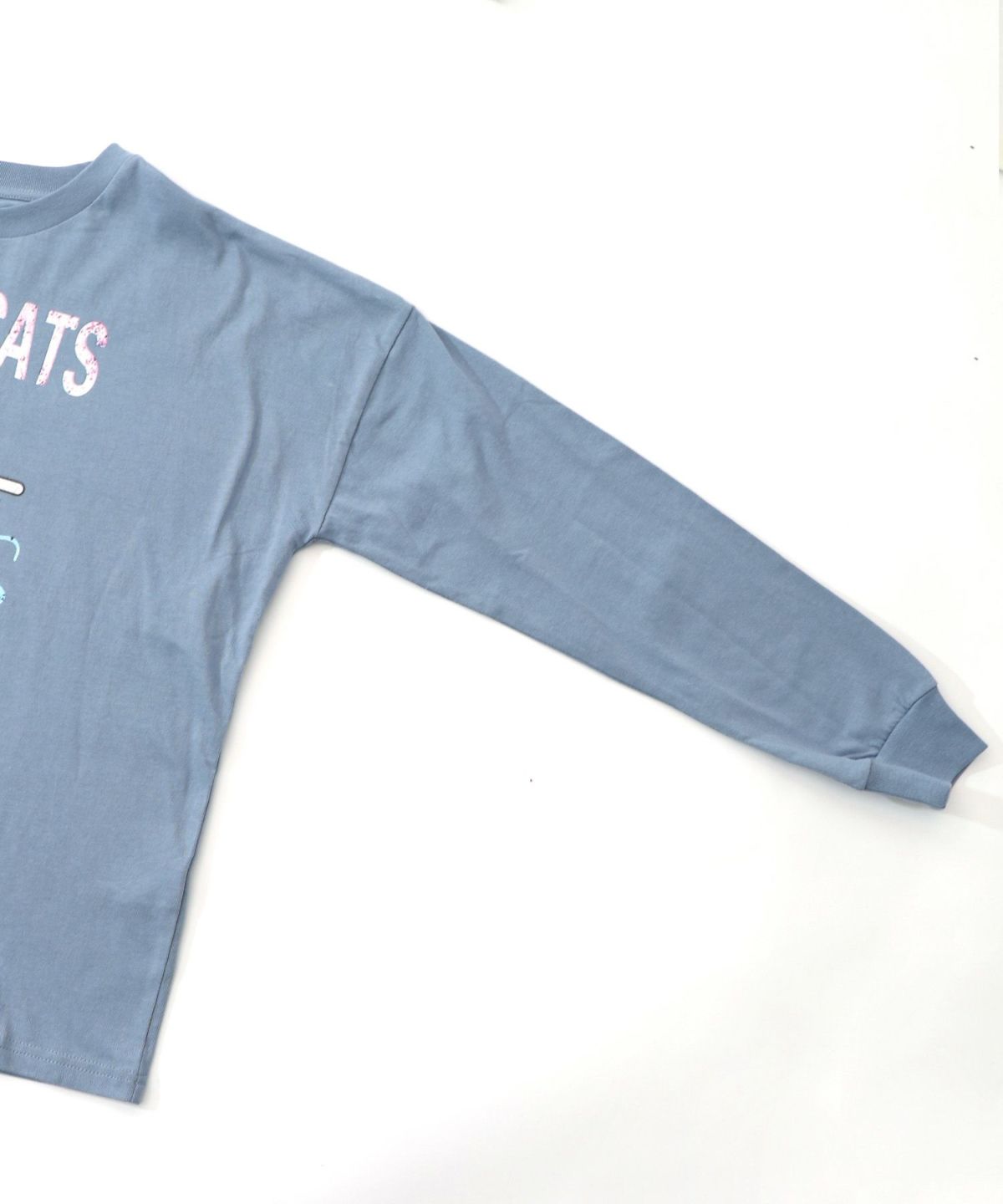 ネコちゃんのデイリールーティン柄ロンT-18