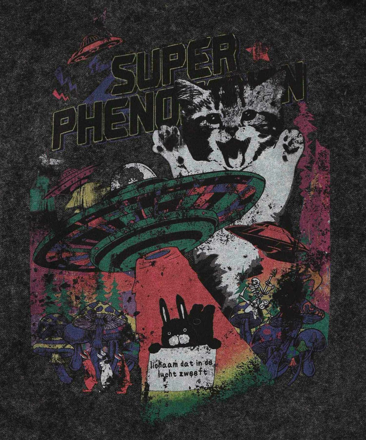 超常現象プリント ケミカル加工裏毛パーカー-3